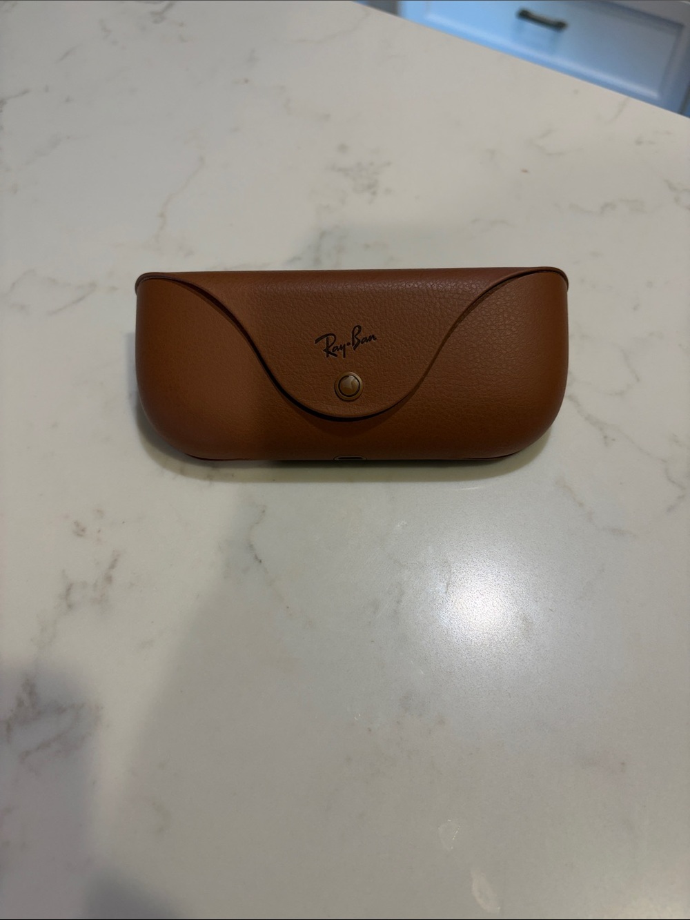 Ray-Ban Meta Case